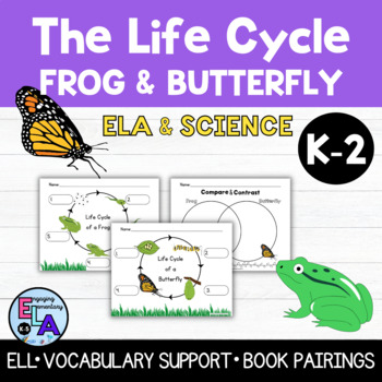 Preview of The Life Cycle of a Frog & The Life Cycle of a Butterfly- NO PREP Activity