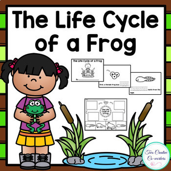 Preview of The Life Cycle of a Frog | printable mini book, worksheets & cards