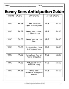 The Life Cycle of a Honey Bee Activity Packet by Teaching in a Wonderland