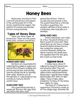 The Life Cycle of a Honey Bee Activity Packet by Teaching in a Wonderland