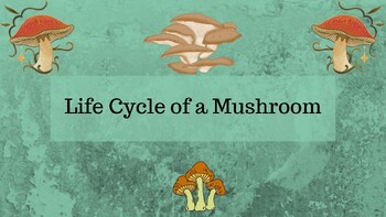 Preview of The Life Cycle of a Mushroom