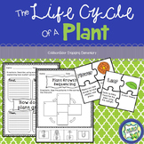 The Life Cycle of a Plant