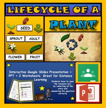 Preview of The Life Cycle of a Plant: Interactive Google Slides + PPT + 2 worksheets
