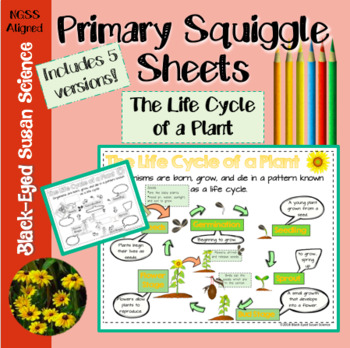 Preview of The Life Cycle of a Plant Primary Squiggle Sheets (Notes) NGSS 3-LS1-1
