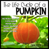 The Life Cycle of a pumpkin: Science printables for Kindergarten