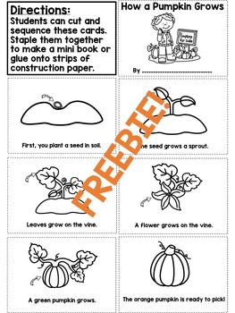 The Life Cycle of a Pumpkin FREEBIE sequencing worksheet | TpT