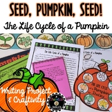 Pumpkin Life Cycle Writing