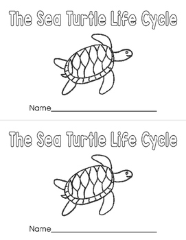 The Sea Turtle Life Cycle By Lisa Marie Teachers Pay Teachers