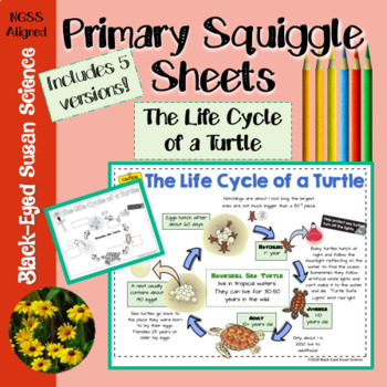 Preview of The Life Cycle of a Turtle Primary Squiggle Sheets (Notes) NGSS 3-LS1-1
