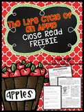 The Life Cycle of an Apple {A Close Read FREEBIE}