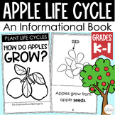The Life Cycle of an Apple - An Informational Science Book