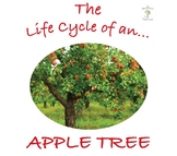 The Life Cycle of an Apple Tree Package