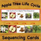 The Life Cycle of an Apple Tree Sequencing Cards