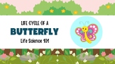 The Life Cycle of the Butterfly PDF