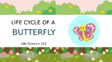 The Life Cycle of the Butterfly Powerpoint PPTX