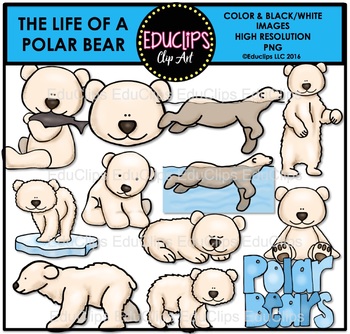 Preview of The Life Of A Polar Bear Clip Art Bundle {Educlips Clipart}