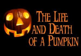 The Life and Death of a Pumpkin