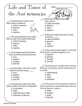 Ants in Your Pants Idiom Meaning, Examples, Synonyms, and Quiz