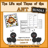 The Life and Times of The Ant Journeys 14 BUNDLE