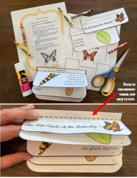 The Lifecycle of the Butterfly Flip book and Sequence Map: PRINTABLE