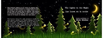Preview of The Lights in the Night / Las Luces en la noche (Front and Back Cover)