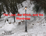 The Lion, the Witch, and the Wardrobe novel study.
