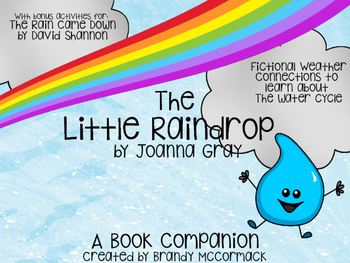 Preview of The Little Raindrop Book Companion w/ bonus activities for The Rain Came Down
