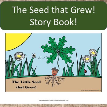 Preview of The Little Seed that Grew! Story and Activities! Montessori Preschool