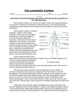 Preview of The Lymphatic System: Informational Text, Images, and Assessment