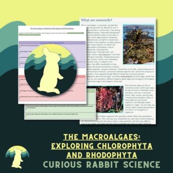 Preview of The Macroalgaes: Exploring Chlorophyta and Rhodophyta - Macroalgae Webquest