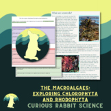 The Macroalgaes: Exploring Chlorophyta and Rhodophyta - Ma