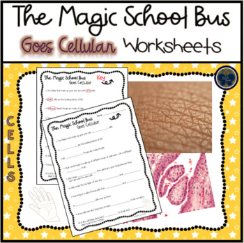 Preview of The Magic School Bus Goes Cellular (Cells) Worksheets