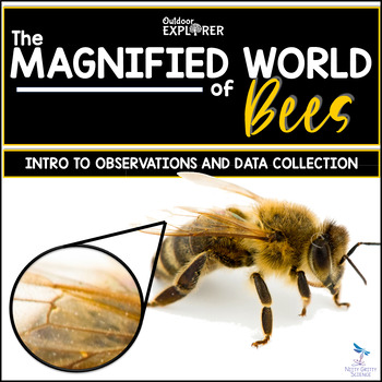 Preview of The Magnified World of Bees - Elementary Science Inquiry