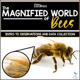 The Magnified World of Bees - Elementary Science Inquiry