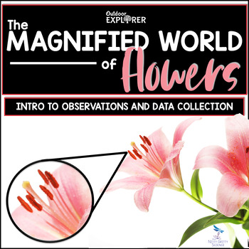 Preview of The Magnified World of Flowers - Elementary Science Inquiry