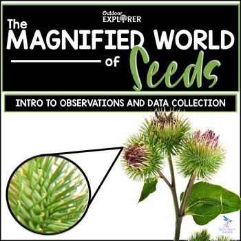 Preview of The Magnified World of Seeds - Elementary Science Inquiry