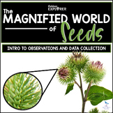 The Magnified World of Seeds - Elementary Science Inquiry