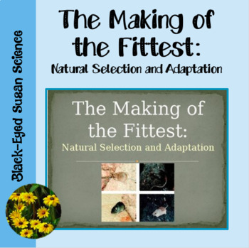 The Making Of The Fittest Natural Selection And Adaptation Tpt