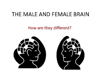 Preview of The Male and the Female Brain / How are they Different?