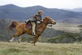 The Man from Snowy River - Banjo Paterson