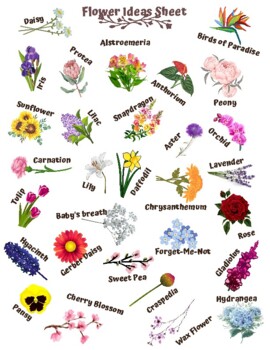 The Meaning of Flowers Symbolism Activity by Odds Ends and Tidbits