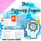 The Memory Lesson: Anatomy and Physiology Nervous System M