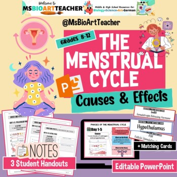 Preview of The Menstrual Cycle-Cause and Effect PPT, Graphic Organizer & Game High School