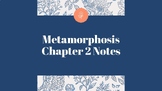 The Metamorphosis by Franz Kafka - chapter 2 analysis