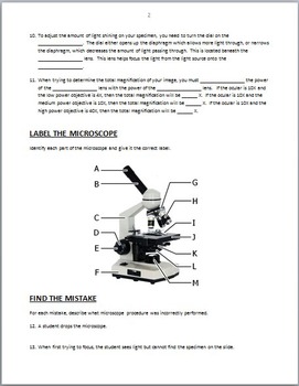 The Microscope - Review Worksheet {Editable} by Tangstar Science