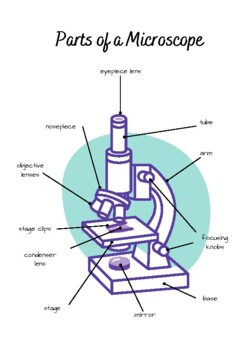 The Microscope (extension) by Learning Reimagined Store | TPT
