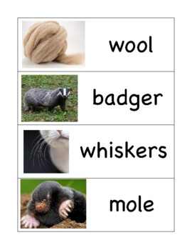 Preview of The Mitten Vocabulary Words and Read Aloud Script