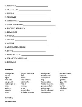 The Modern Amphibians Word Scramble for Zoology | TPT