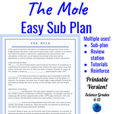The Mole Reading Cloze + Puzzle Easy Emergency Sub Plan ||