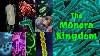 Preview of The Monera (Bacteria) Kingdom